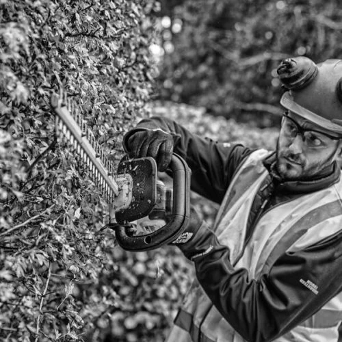 Taille-haie XR 18 V Dewalt 55 Cm (sans Batterie Ni Chargeur) En Boîte Carton - DCMHT563N – Image 3