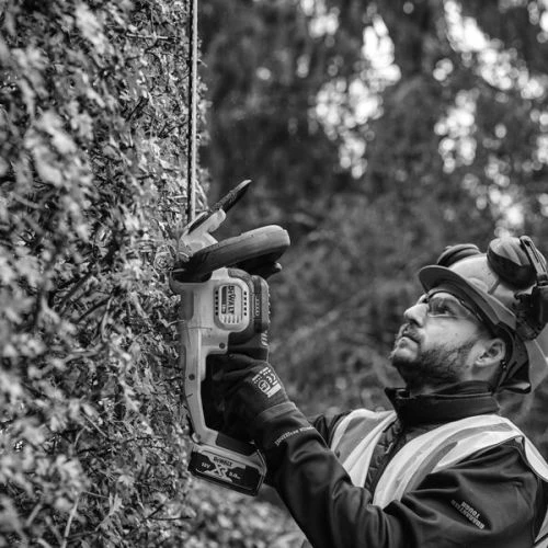 Taille-haie XR 18 V Dewalt 55 Cm (sans Batterie Ni Chargeur) En Boîte Carton - DCMHT563N – Image 6